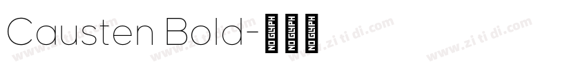 Causten Bold字体转换